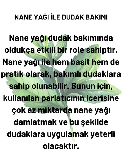 Nane Uçucuyağı