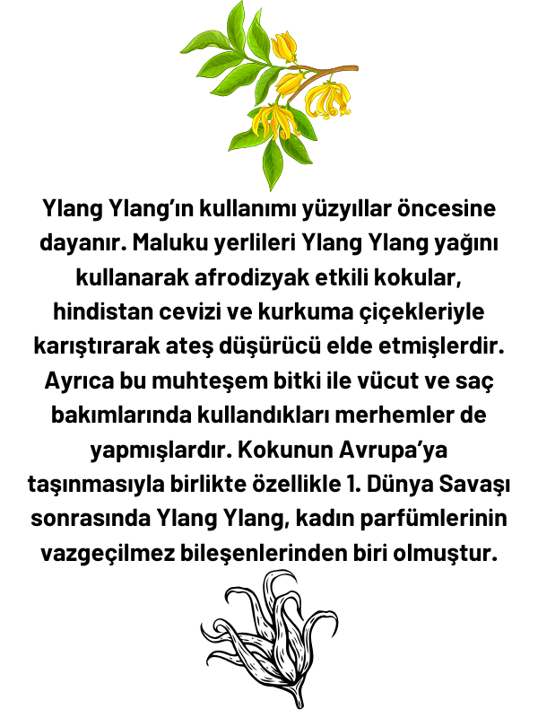 Ylang-ylang Uçucu Yağı