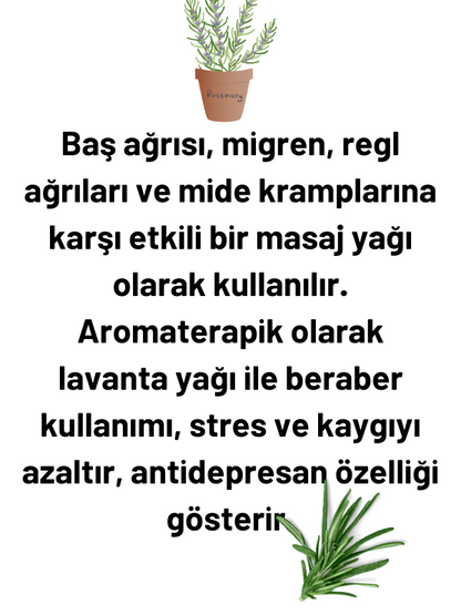 Biberiye Uçucu Yağı